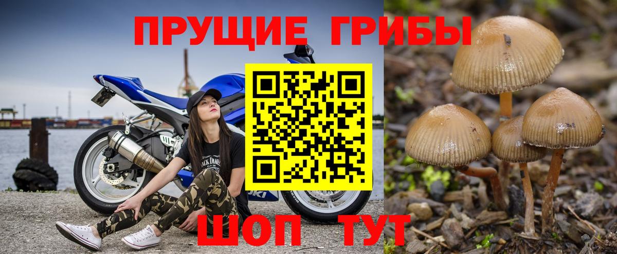 Псилоцибиновые грибы прущие грибы  Вход с VPN  Крымск 